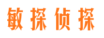 三台市调查公司